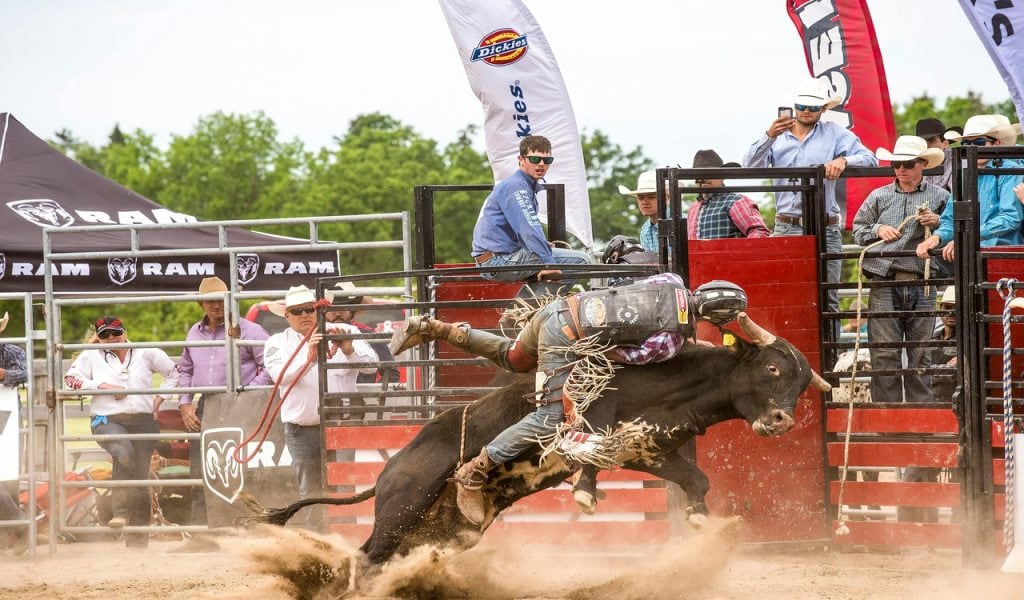 8 State Fairs with Big October Weekends – Her Life Adventures Person Riding a Bull