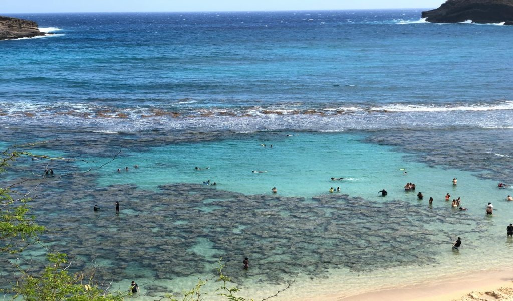 Aerial View of Hanauma Bay in Hawaii 