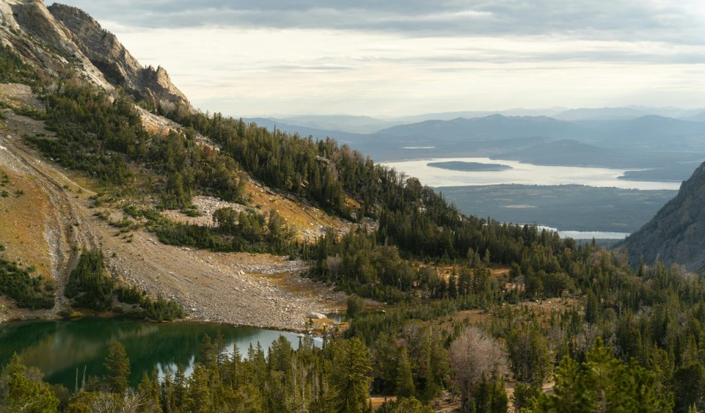 Scenic View of Grand Teton National Park in Fall