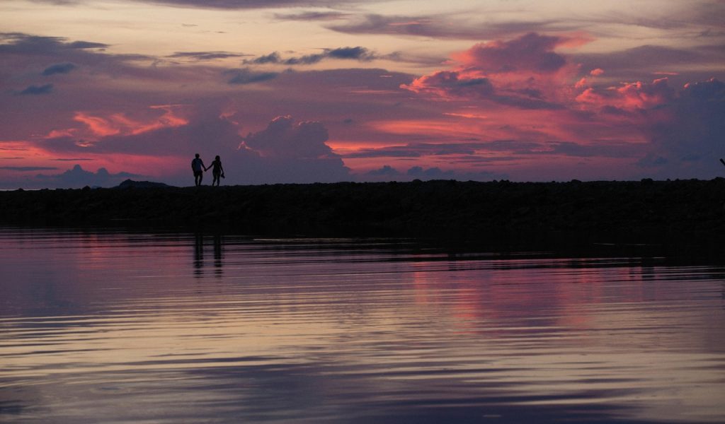 Silhouette of Couple Holding Hands on Lakeshore 