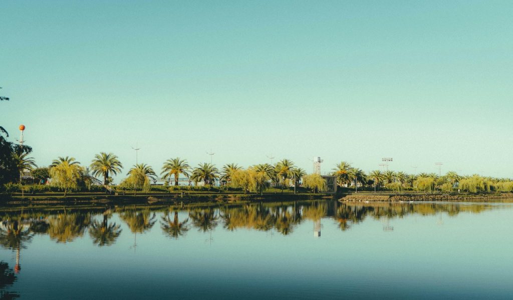Batumi Lake with Palm Trees Reflection