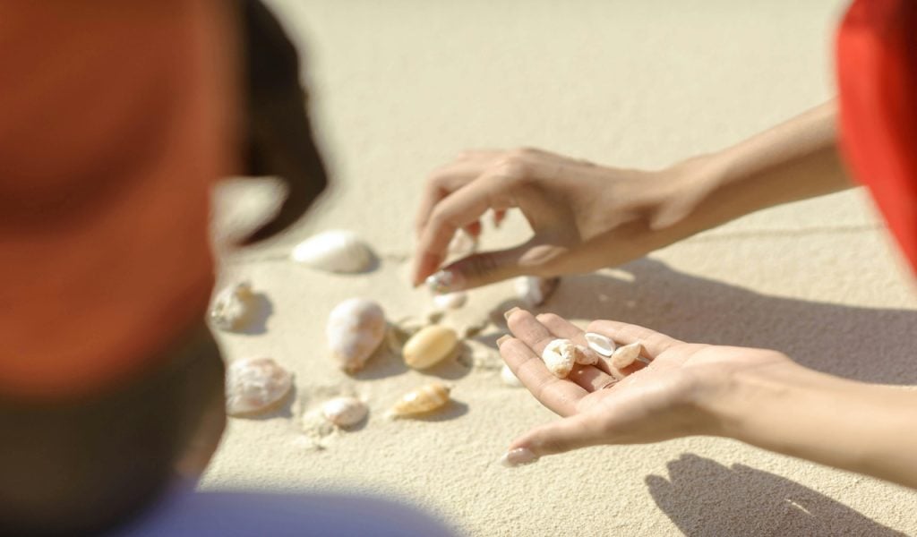 Person Picking Shells