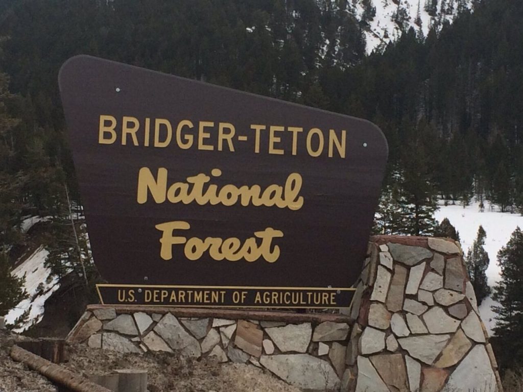 Bridger-Teton National Forest, Wyoming