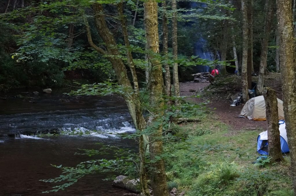 Monongahela National Forest, West Virginia