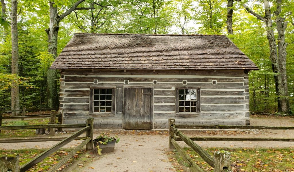 Wooden Cabin Near the Tall Green Trees during the Day