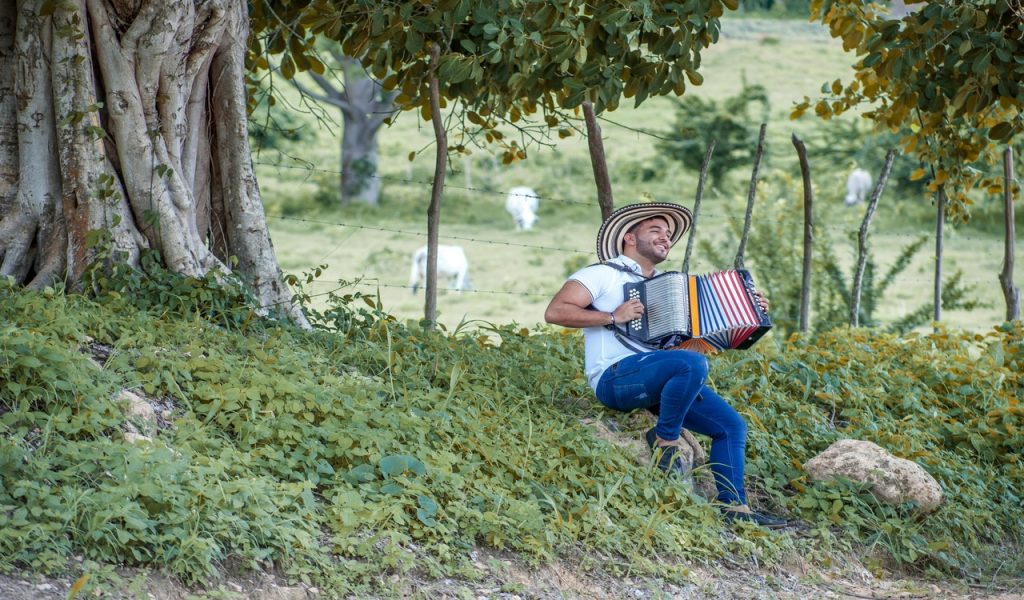 Man in White Shirt and Blue Denim Jeans Sitting on Green Grass Playing an Accordion
