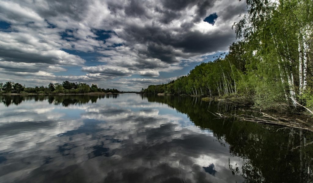 Green Trees Beside the River 