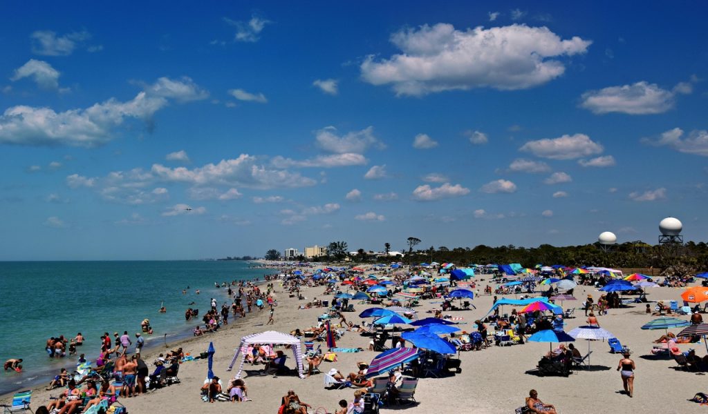 Sunny Day at a Vibrant Venice Beach, Florida
