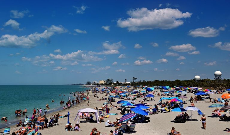 Sunny Day at a Vibrant Venice Beach, Florida