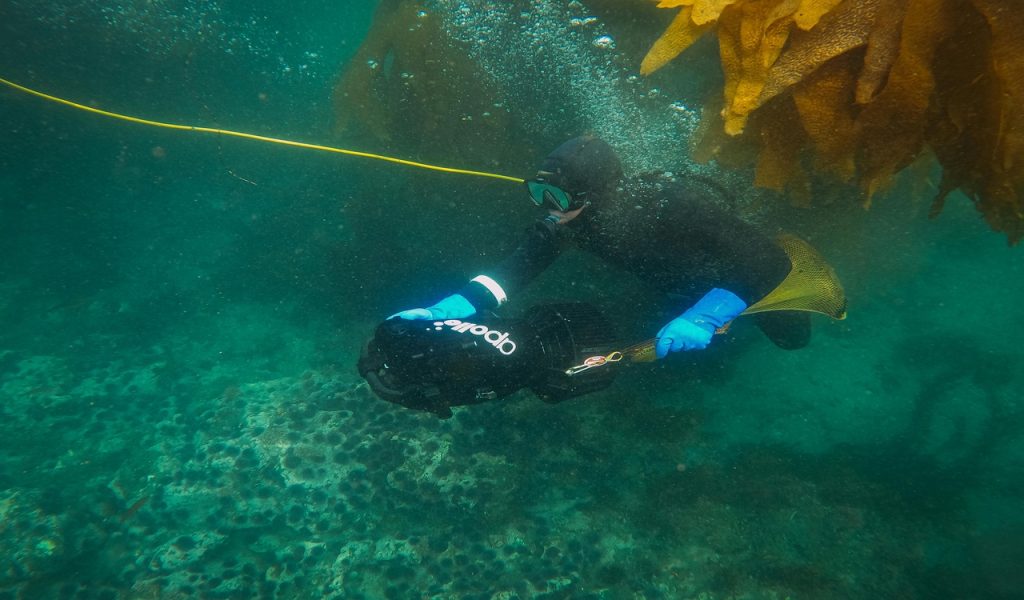 Un homme vêtu d’une combinaison noire et bleue plonge dans l’eau