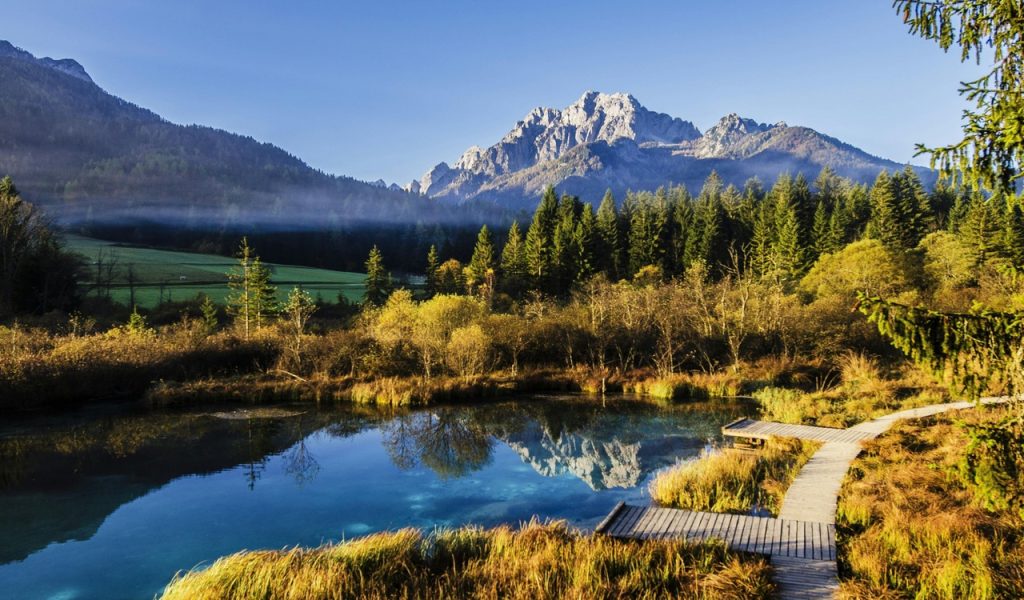 Un plan d'eau à proximité de la forêt