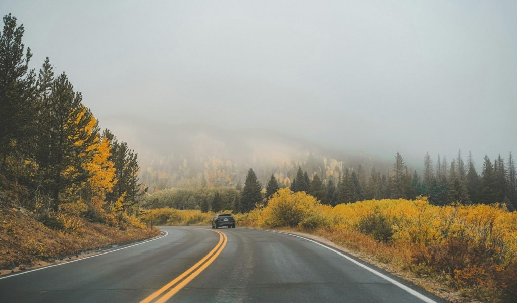 Overcast and Fog over Road through Forests

