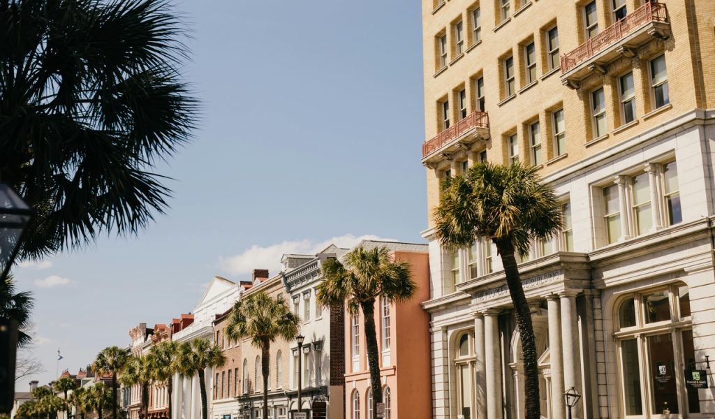 Palm Trees Near the Concrete Buildings