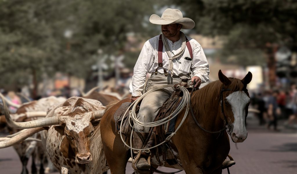 Cowboy à cheval