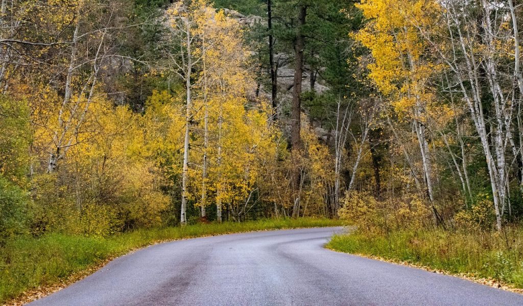 Sentier pittoresque d'automne à Hill City, Dakota du Sud