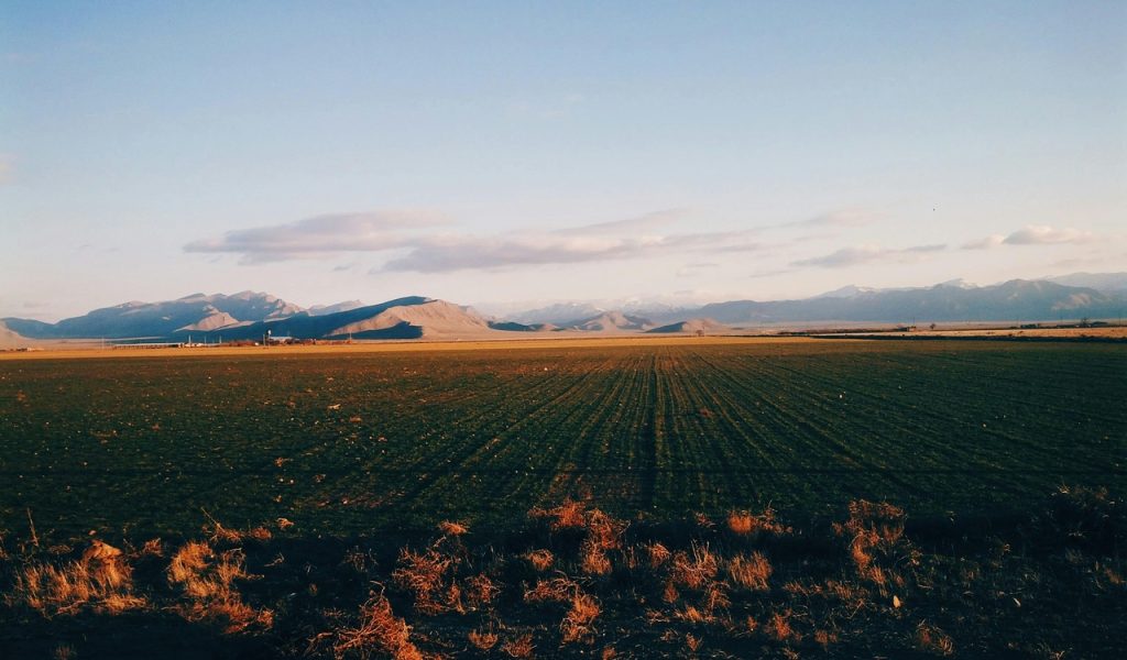 Green Grass Field Near Mountain