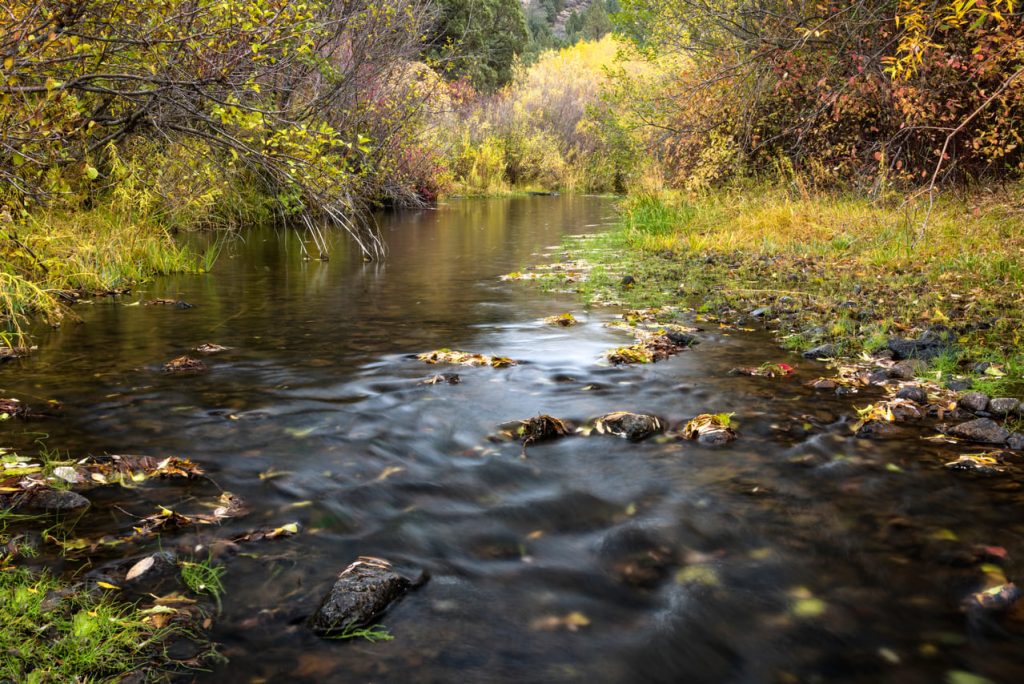 Owyhee Canyonlands, Idaho