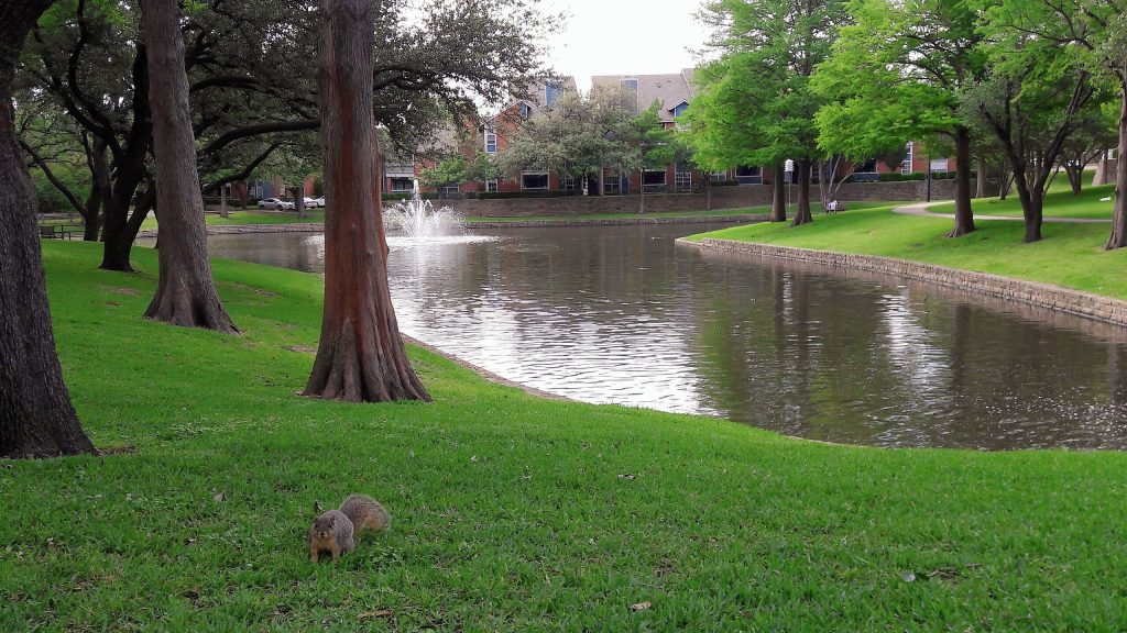 Park with ponds in The Village, at Dallas, Texas.