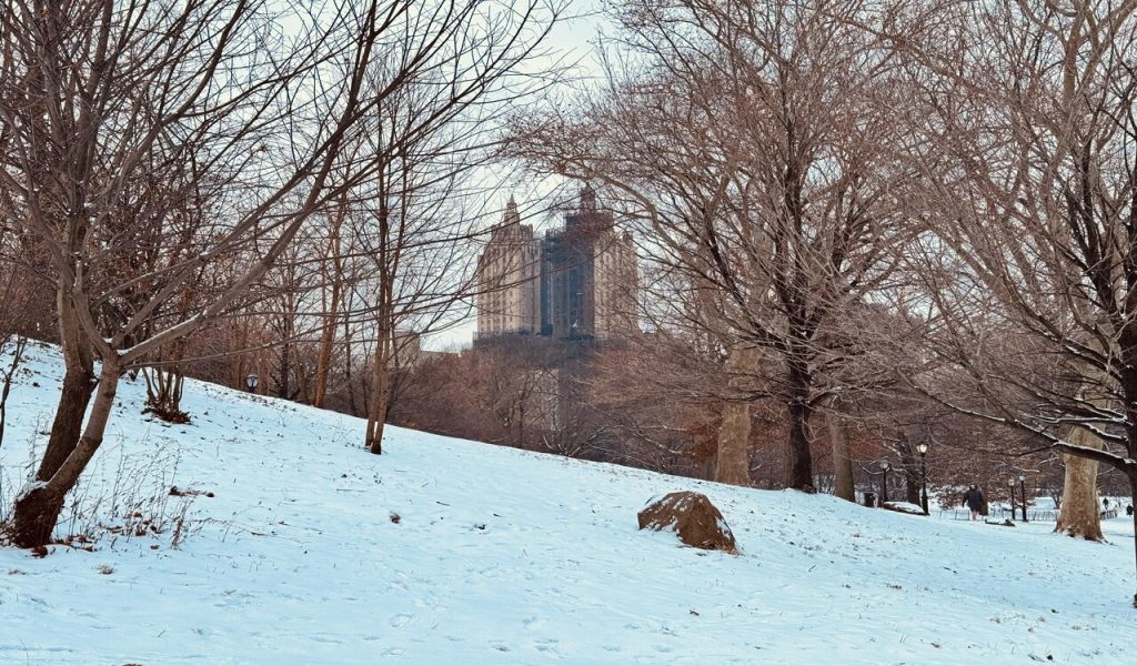Winter Landscape with Central Park View 
