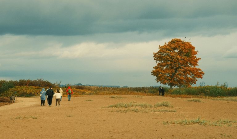 Autumn Walk on a Scenic Pathway