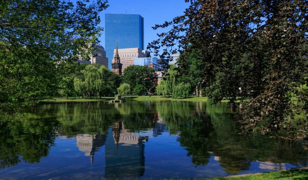 Boston Public Garden Skyline Reflection