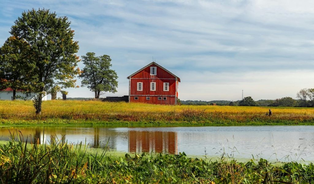 13 U.S. Islands You Can Reach By Ferry For Easy Weekend Escapes – Her Life Adventures Brown Barn Beside Tree
