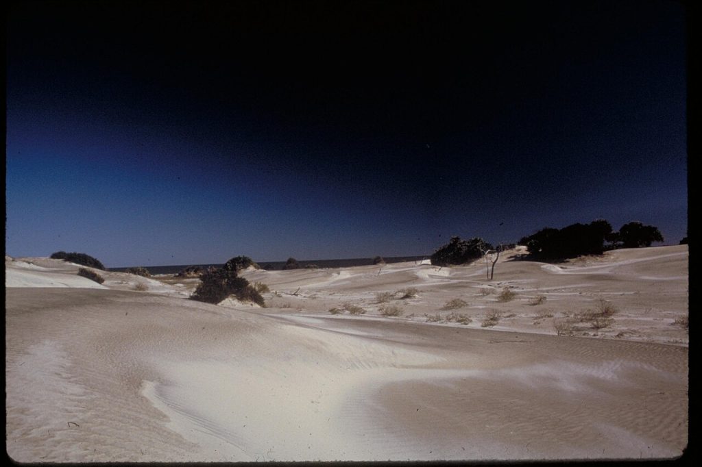 Sand dunes at Cumberland Island National Seashore, Georgia