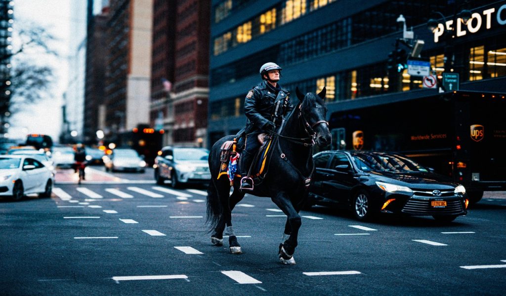 Policeman riding a horse in New York City