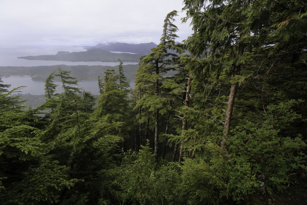 Tongass National Forest, Alaska