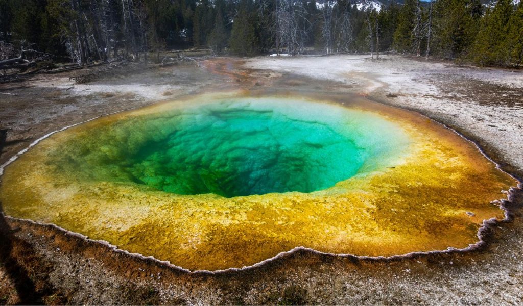 Yellowstone Hot Spring