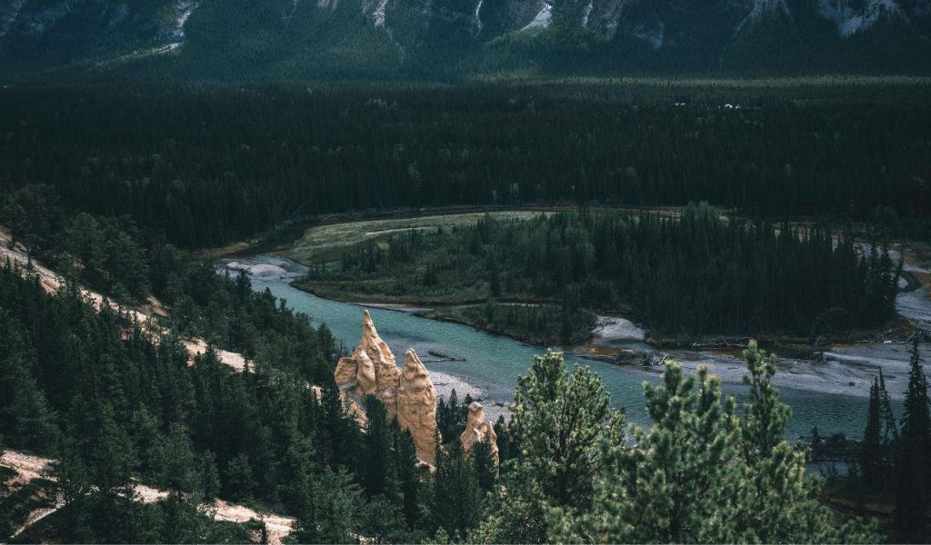 The hike to hoodoos in Banff National Park
