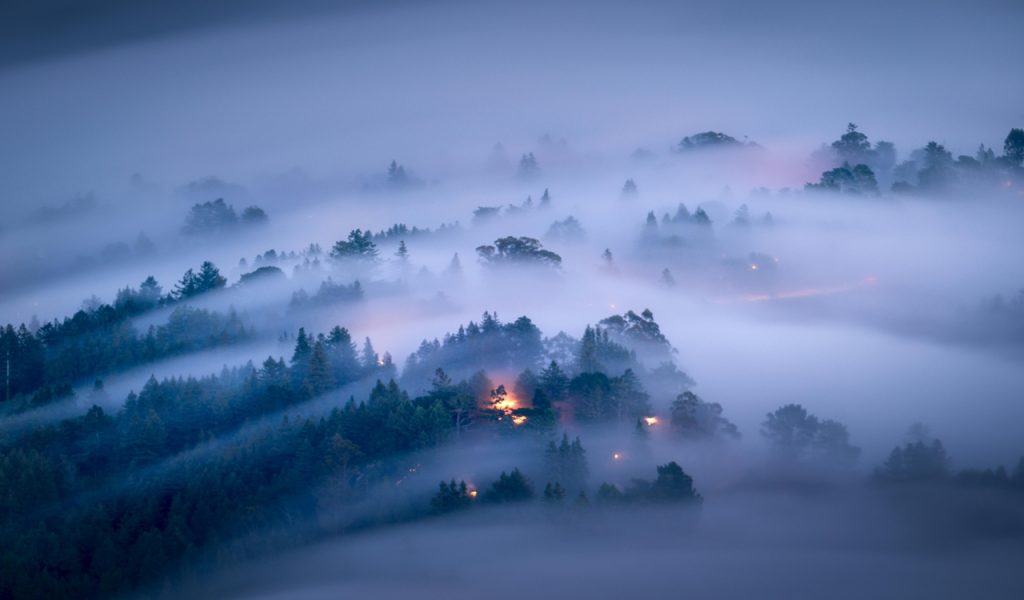 A foggy landscape with trees and houses 