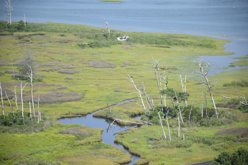 Chincoteague Island, Virginia