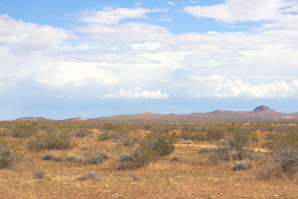 Mojave National Preserve, California
