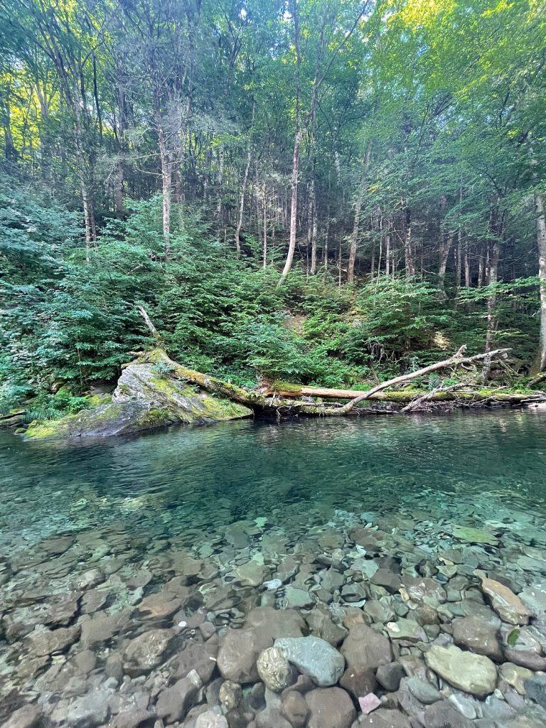 Peekamoose Blue Hole, New York