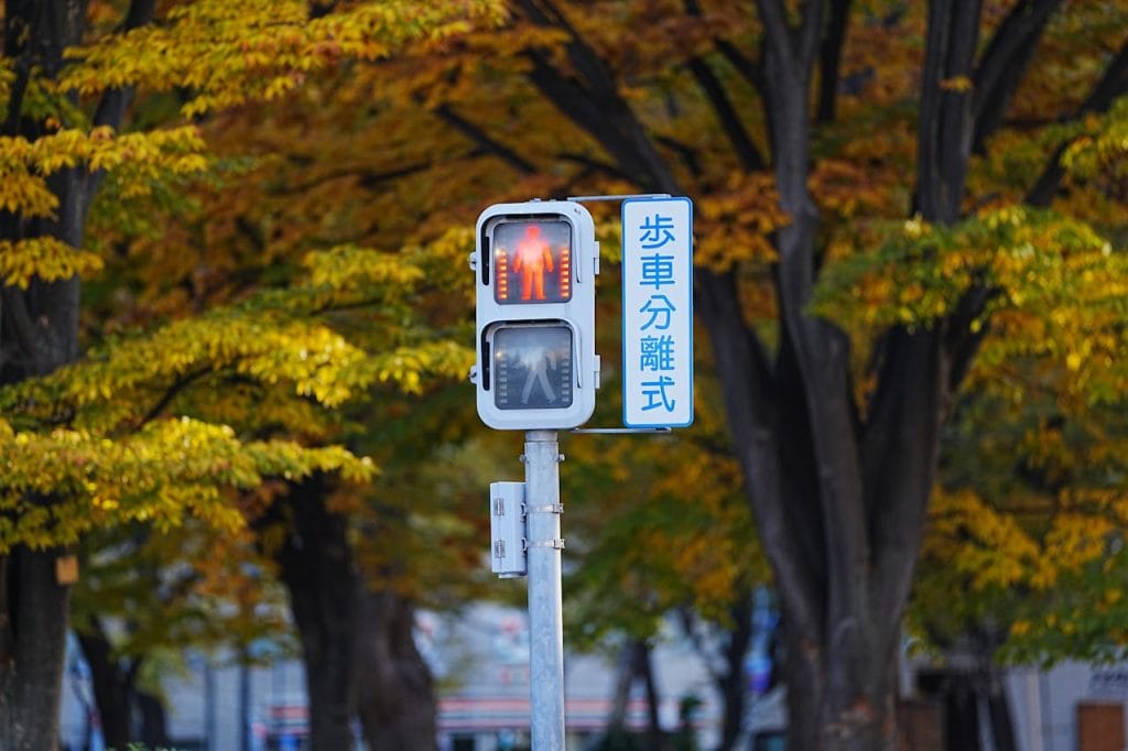 Pedestrian Signal in Urban Autumn Setting