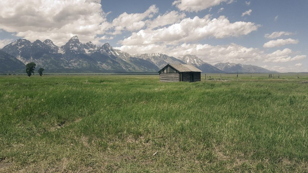 Green Grass Lawn in Jackson, WY, United States