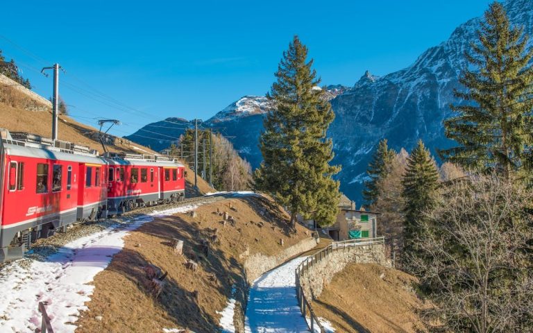 Moving Train With Mountain and Trees in Background