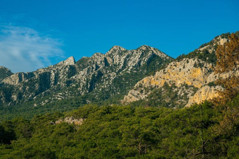 Beautiful Rocky Mountain Landscape in Daylight