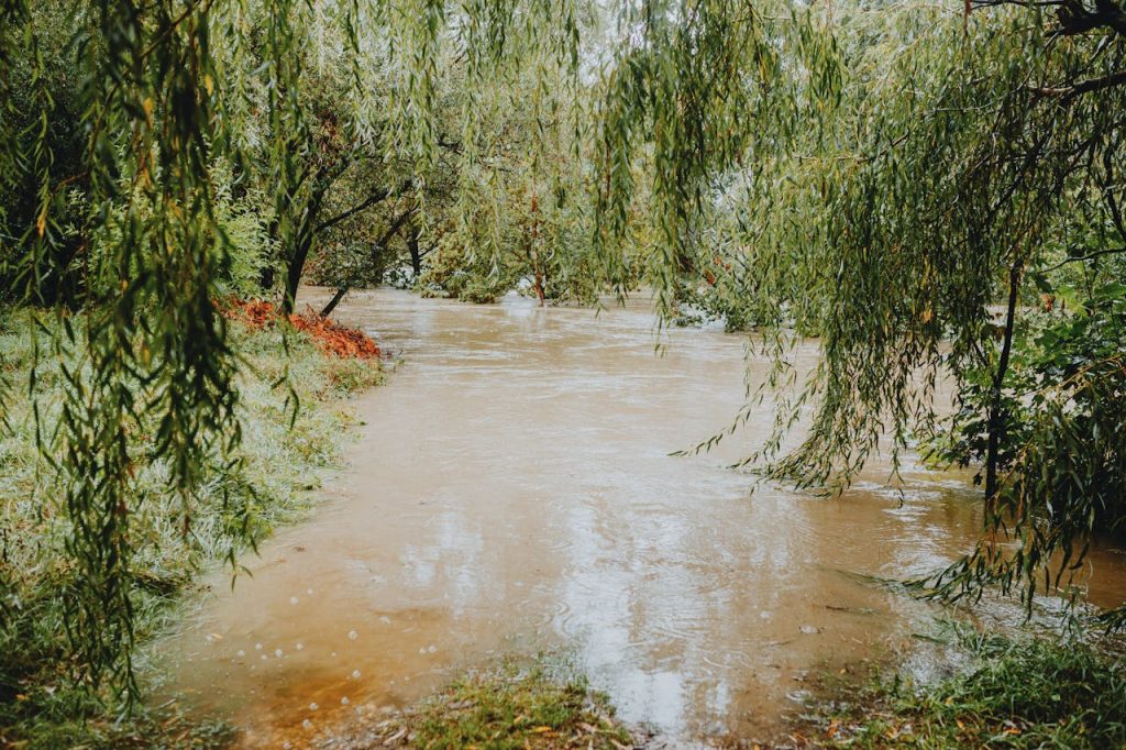Rising stream with muddy water after rainfall in the forest.
