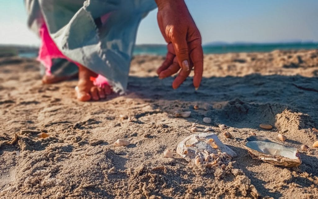 10 Things You Can’t Legally Collect On A Beach – Her Life Adventures A Person Collecting Seashells o the Beach Shore
