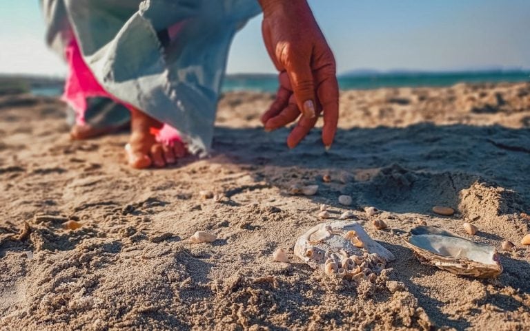 A Person Collecting Seashells o the Beach Shore
