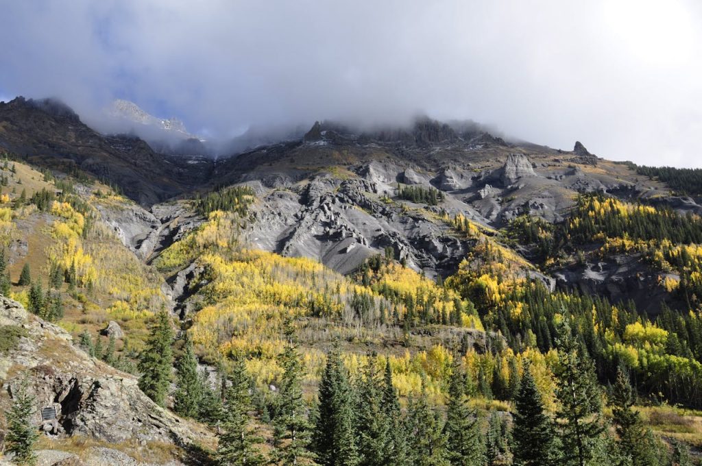 Low-Angle Shot of Trees on Mountain under the Cloudy Sky
