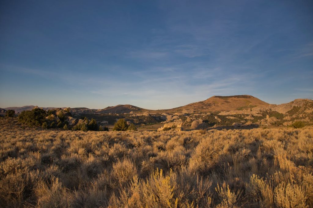 Landscape Photography of Mountain
