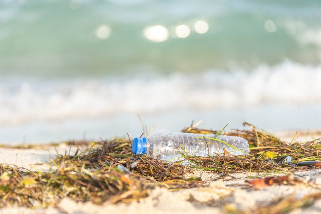 10 Real Ways to Help Wildlife in South America on Your Next Trip – Her Life Adventures Plastic Bottle Lying on Sea Shore