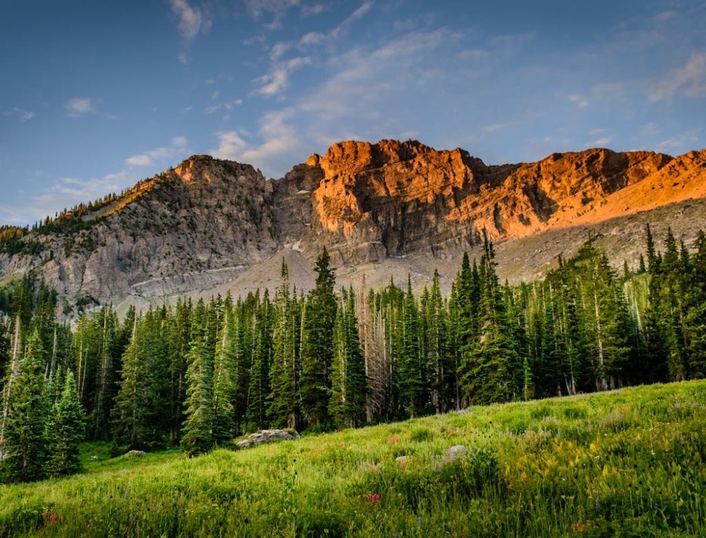 Theodore Roosevelt National Park, North Dakota