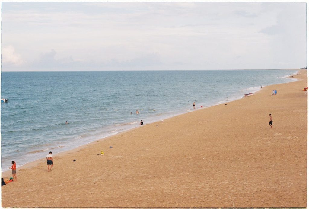 10 Things You Can’t Legally Collect On A Beach – Her Life Adventures Scenic Beach with People Enjoying Summer Day