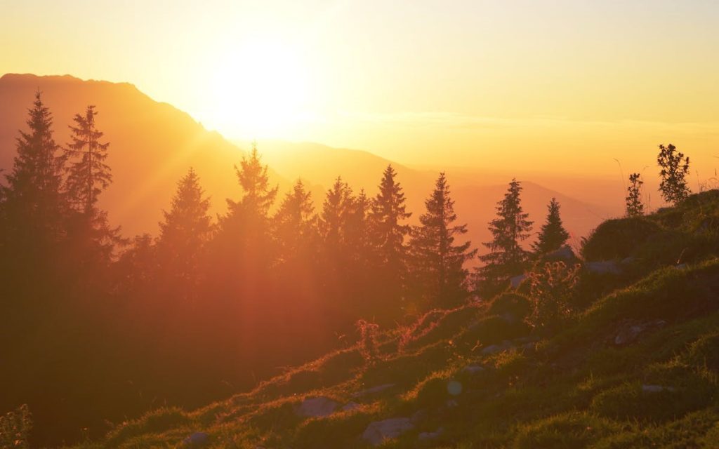 7 Places Around the World Where Sunrise Is Considered Sacred – Her Life Adventures Silhouette Photo of Trees