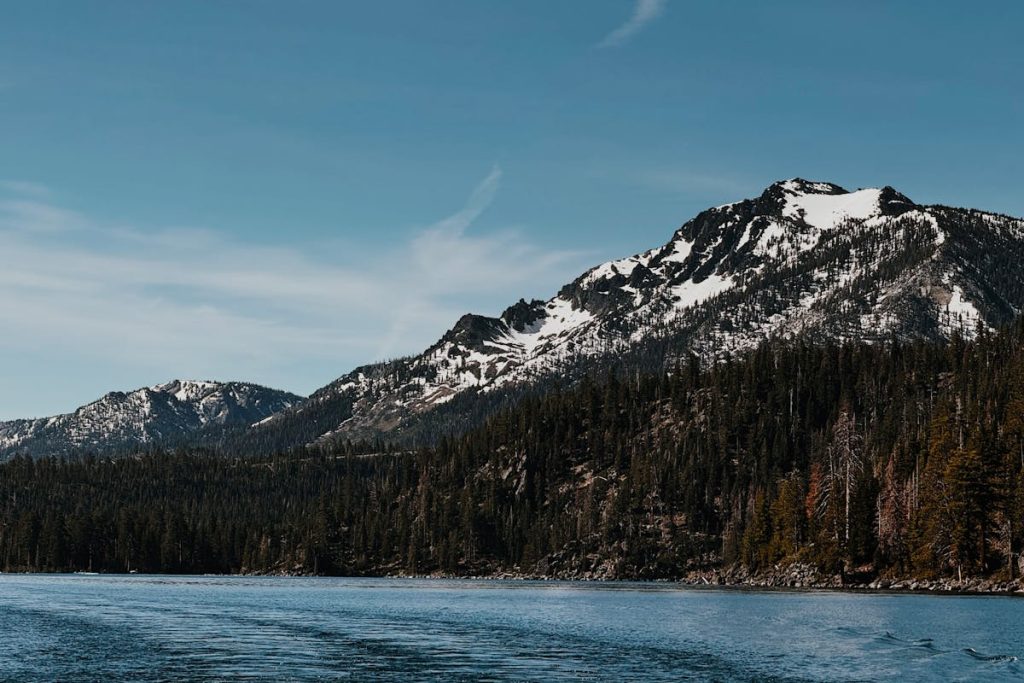 Alpine Forest in Lake Tahoe, California