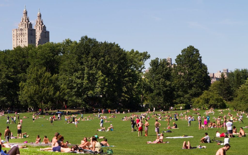 People Sitting on Green Grass Field